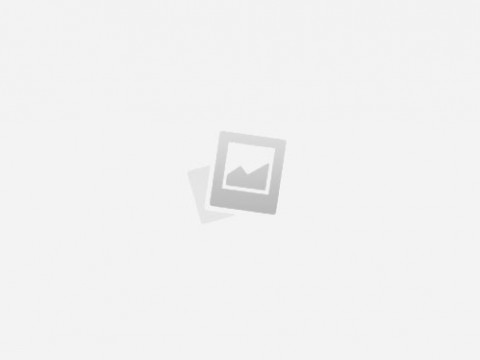 2022 CATERPILLAR 299D3 Skid Steer